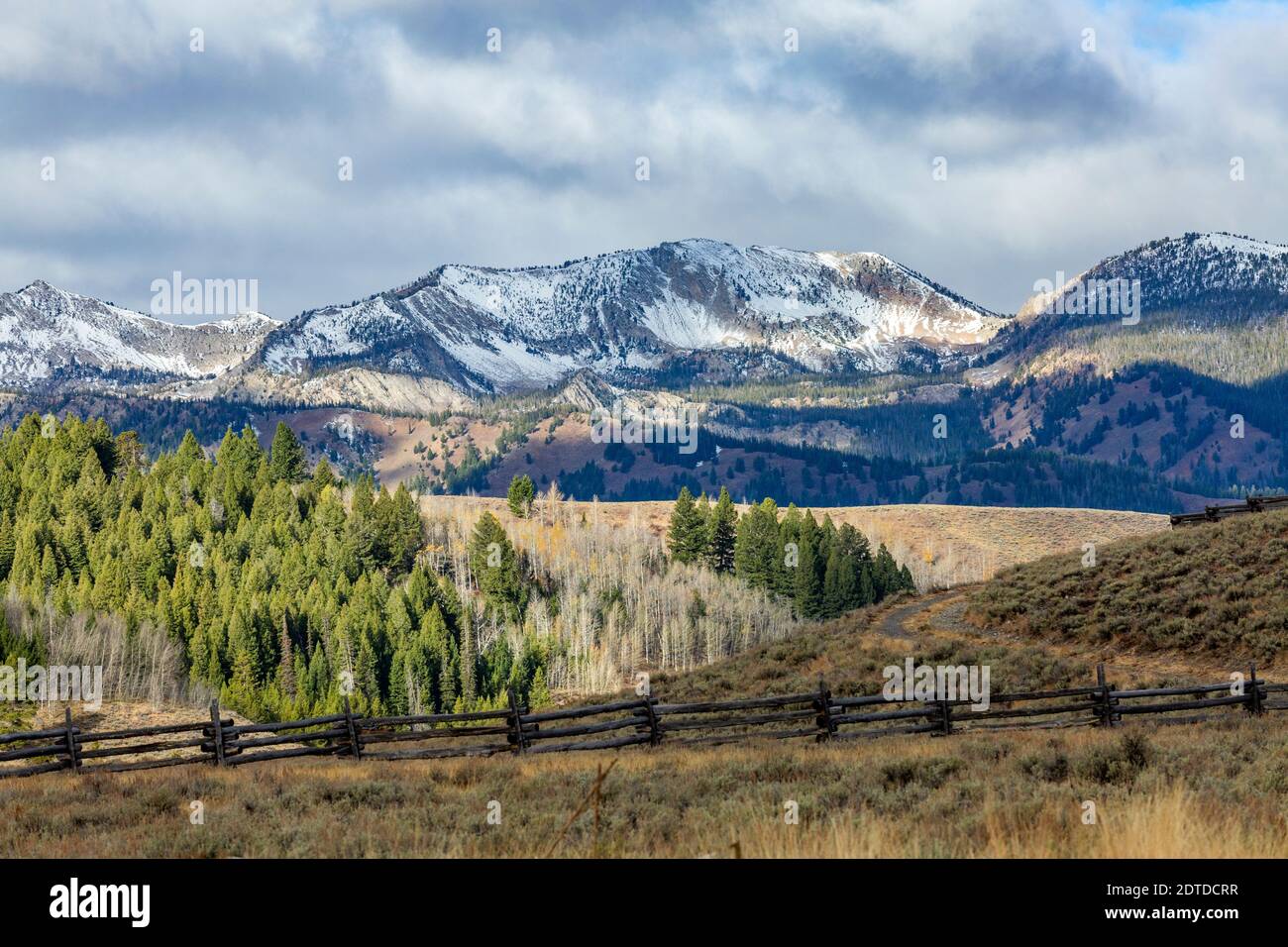 USA, Idaho, Stanley, Ranch paesaggio con montagne e foreste Foto Stock