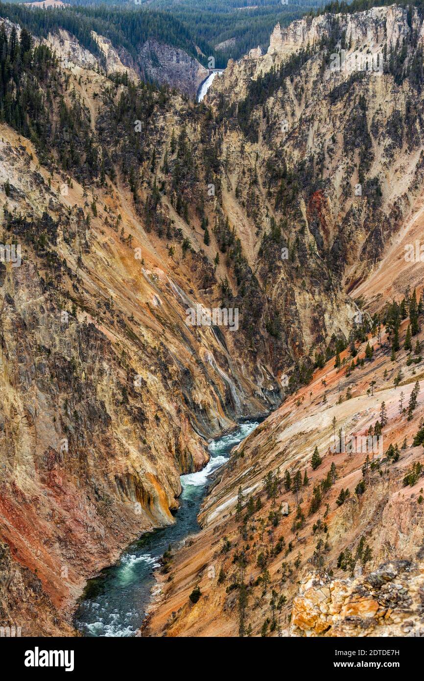 Stati Uniti, Wyoming, Parco Nazionale di Yellowstone, Fiume Yellowstone che scorre attraverso il Grand Canyon nel Parco Nazionale di Yellowstone Foto Stock