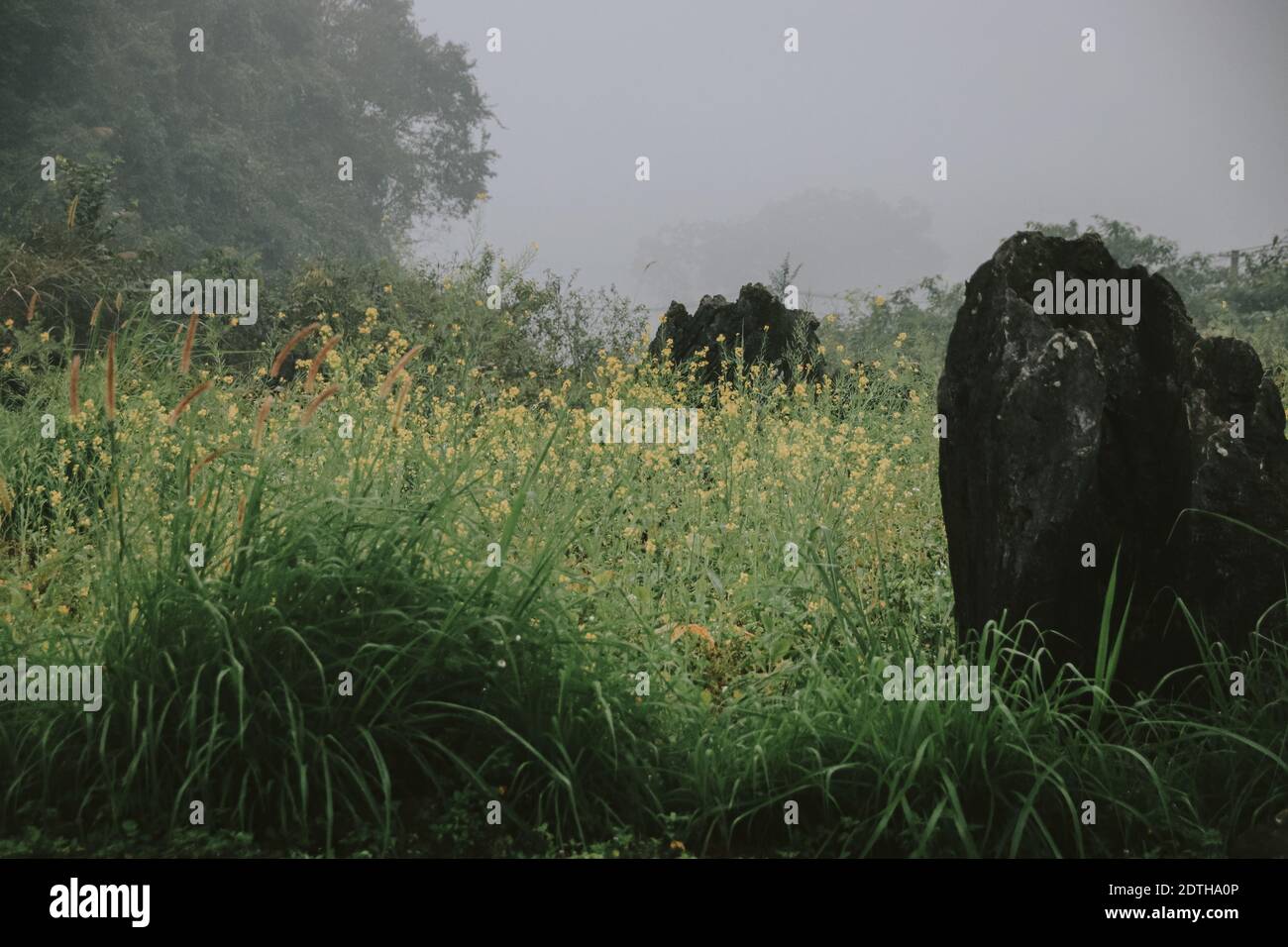 Notte oscura e umorismo cinematico mattina invernale in montagna Di ha giang nel Vietnam del Nord Foto Stock