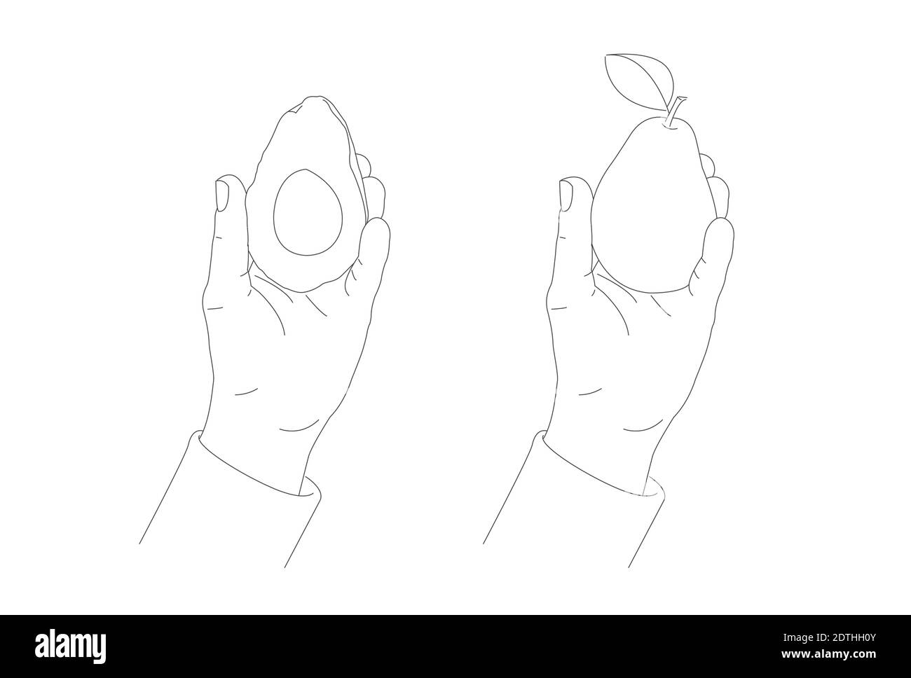 Mano che tiene un mezzo avocado e pera, disegno manuale illustrazione lineare, mano maschio che mostra il frutto, due oggetti Illustrazione Vettoriale