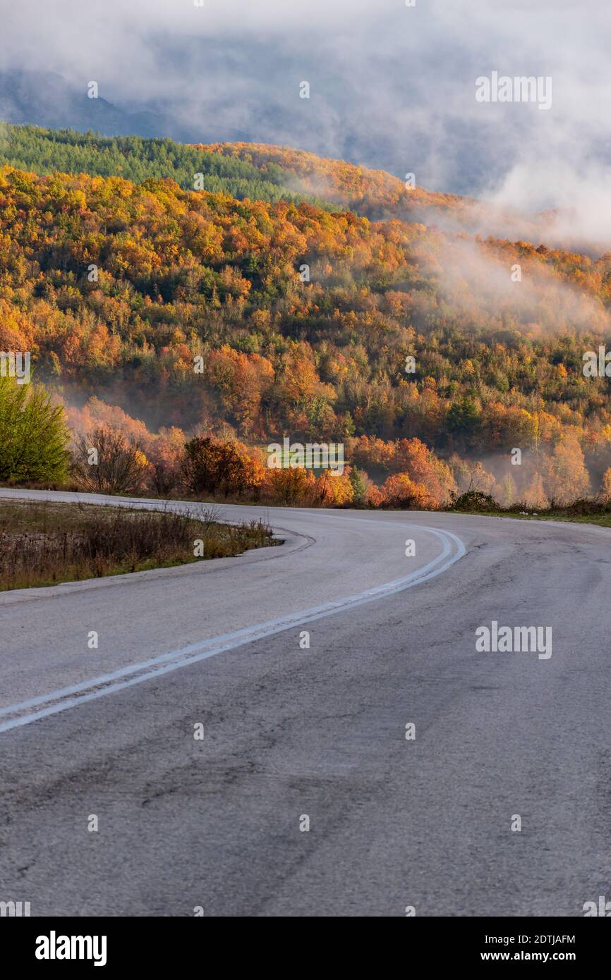 Vista sulla strada della foresta con colori autunnali vicino aspraggeloi villaggio zagori epiro grecia Foto Stock