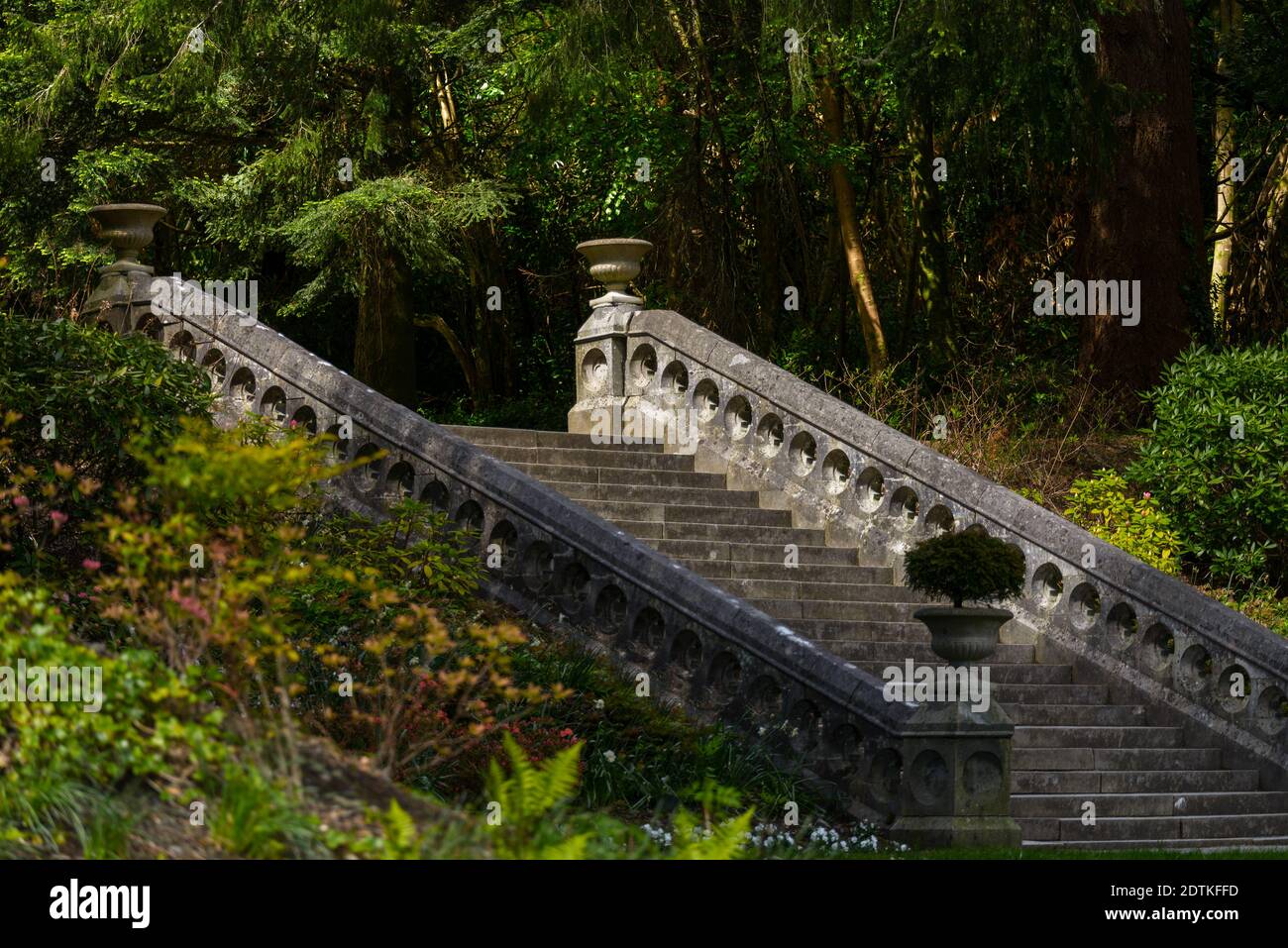 Antica scalinata in pietra nella foresta Foto Stock