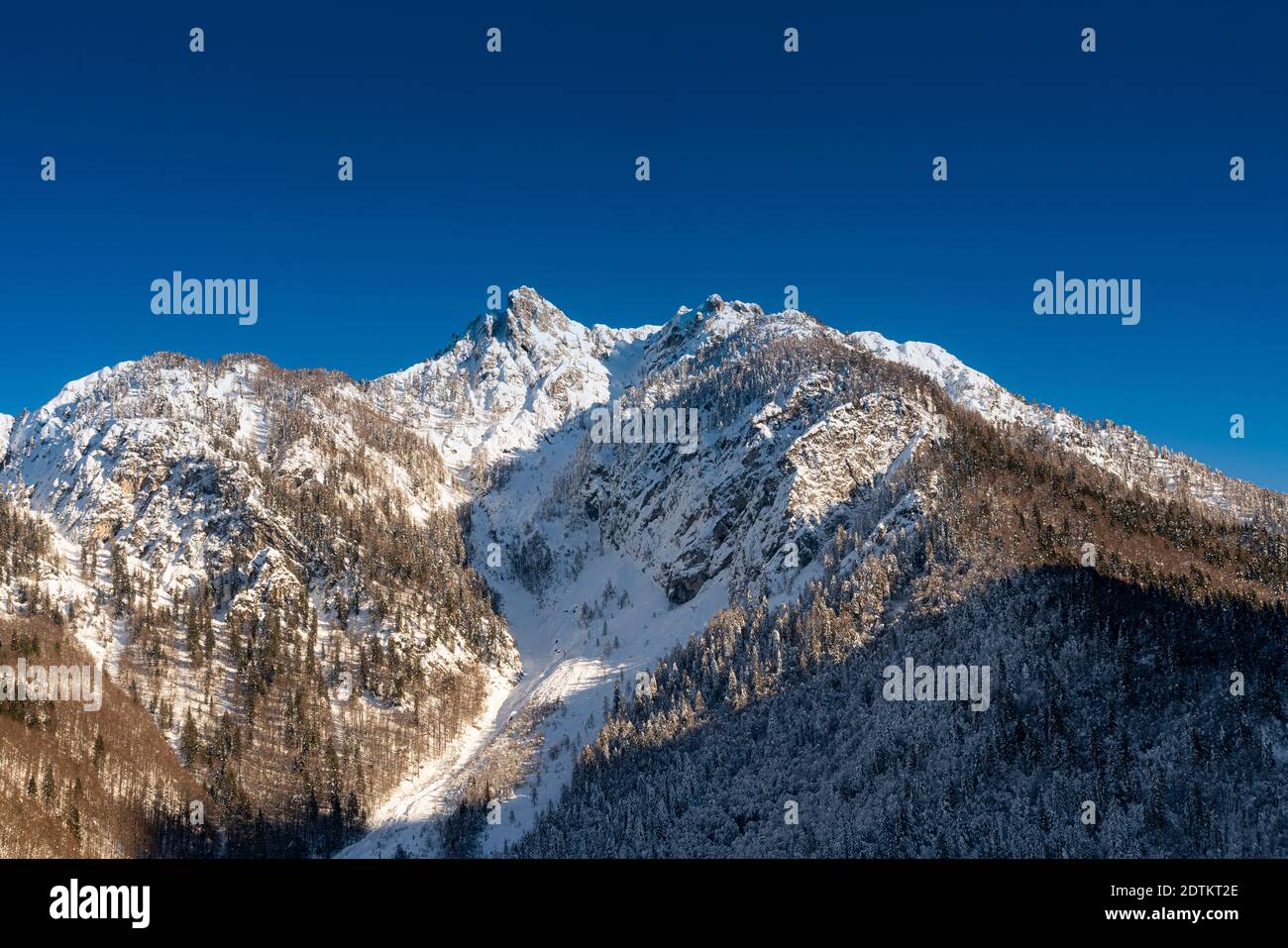 Vista panoramica del monte cima del cacciatore Nelle Alpi Giulie innevate in inverno Foto Stock