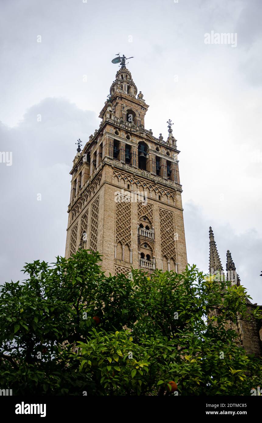 La Torre della Cattedrale di Siviglia, Spagna Foto Stock