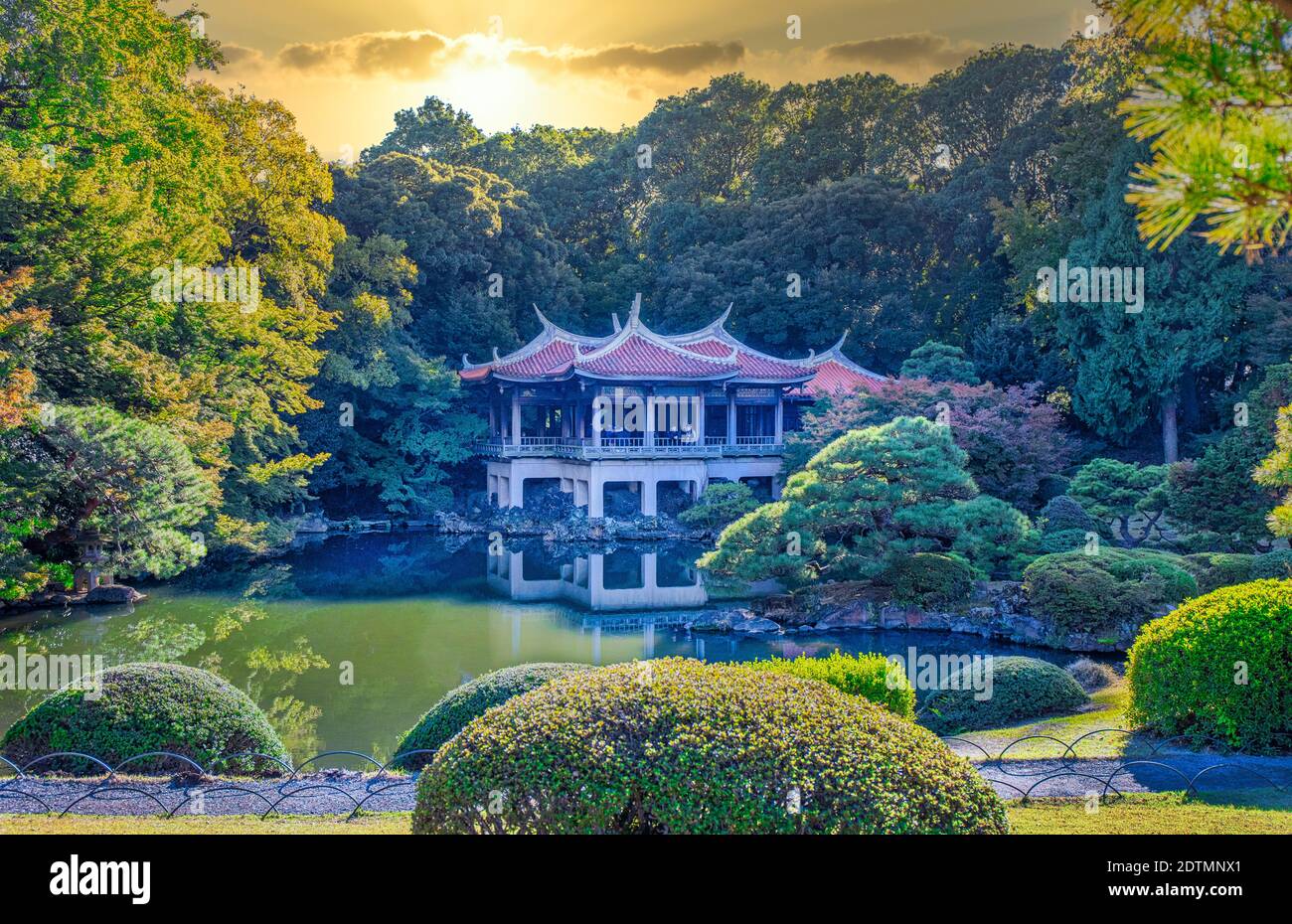 Giappone, Tokyo City, distretto di Shinjuku, Parco Shinjuku Gyoen Foto Stock