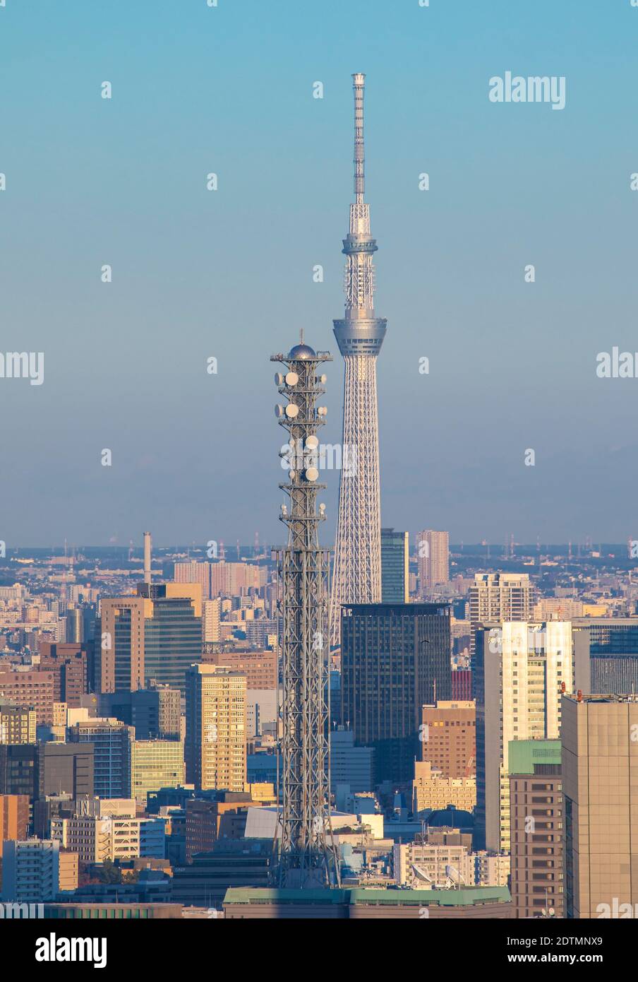 Giappone Tokyo City, Torre Skytree Foto Stock