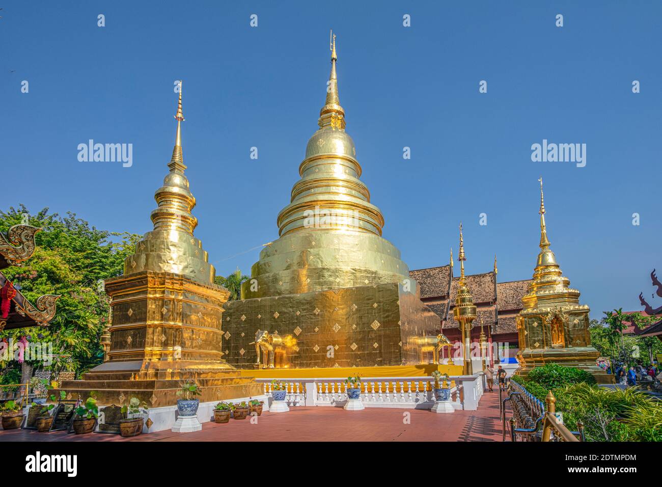 Thailandia, Chiang mai City, Wat Phra Singh Tempio Foto Stock
