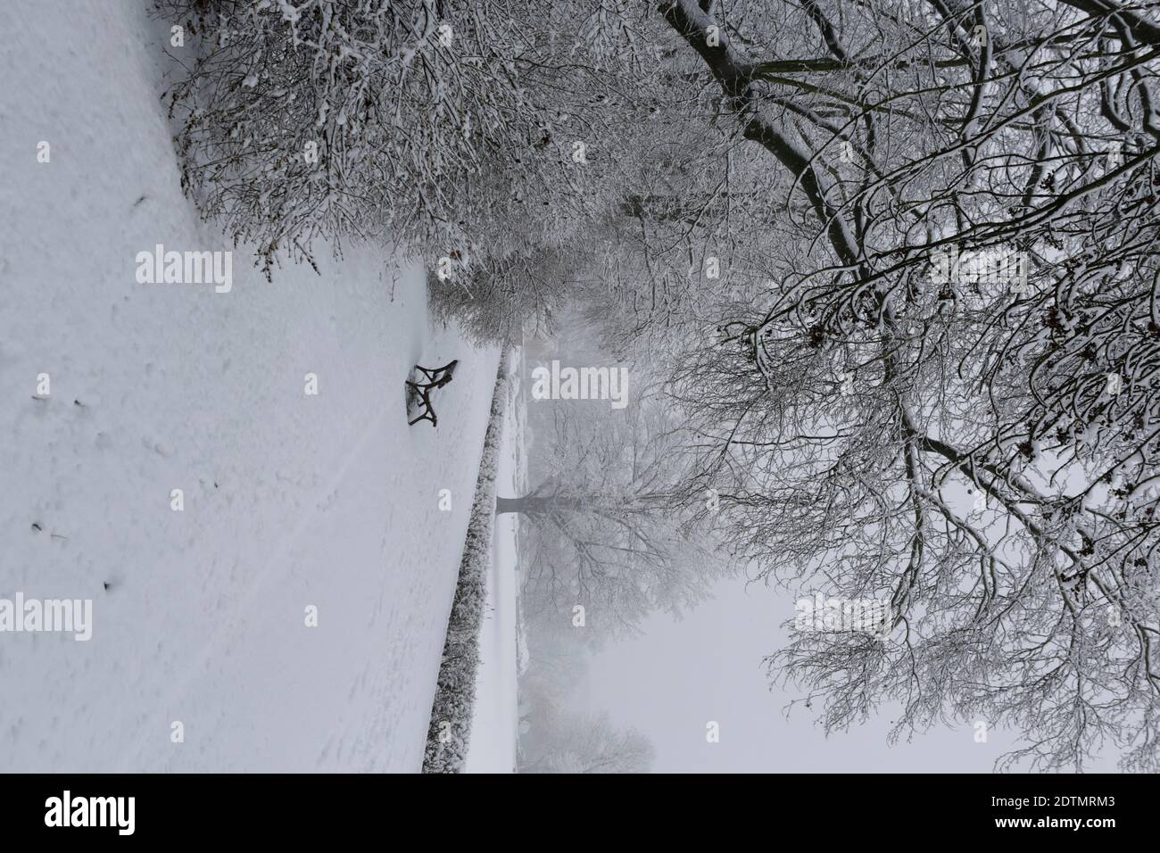 Inverno nel giardino delle palme di Lipsia, neve, freddo, impressioni, panca vuota del parco Foto Stock