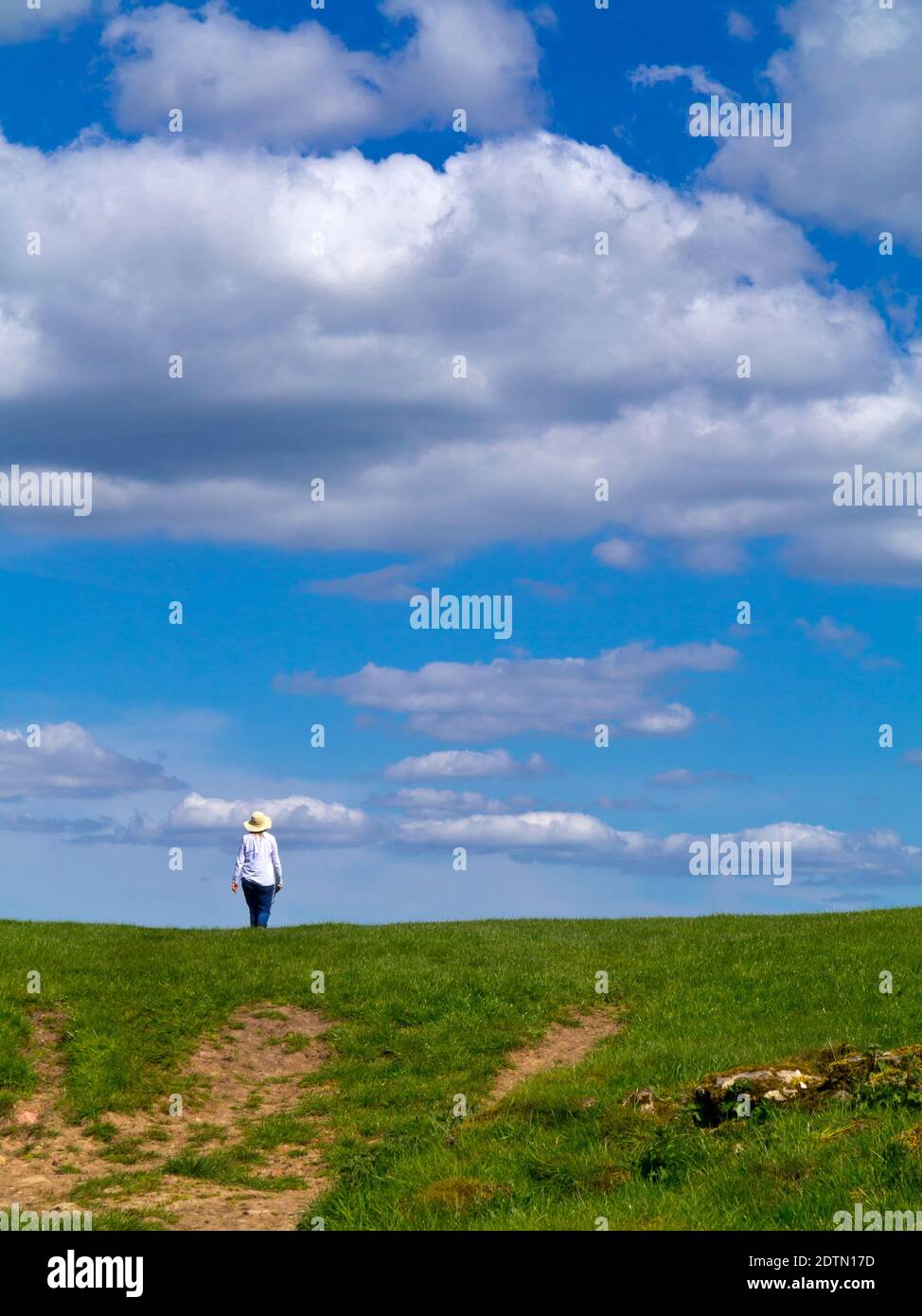 Donna che indossa un cappello di paglia che cammina da sola in campagna con cielo blu e soffici nuvole bianche sopra. Foto Stock