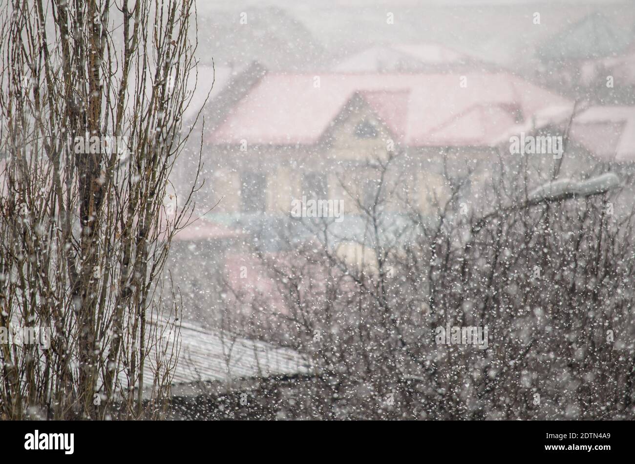 Inverno nevicata, caduta fiocchi di neve sfocati sullo sfondo della casa e gli alberi Foto Stock