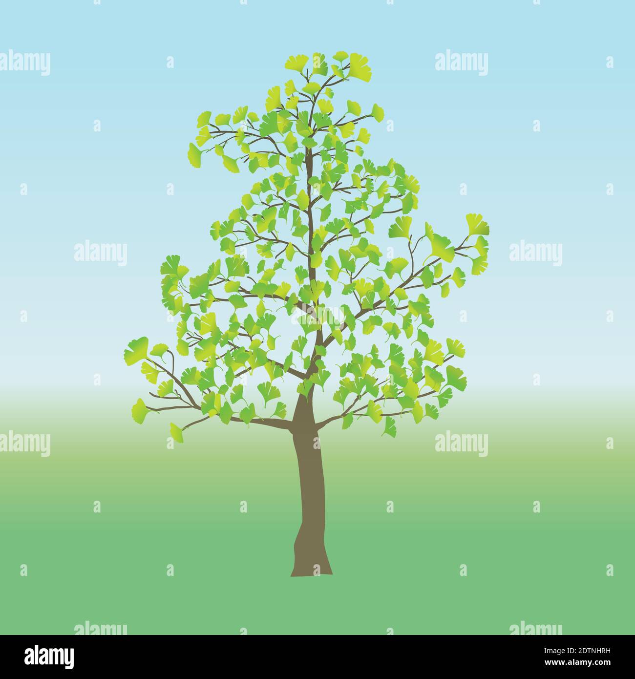 Un giovane albero di ginkgo in un paesaggio pianeggiante Illustrazione Vettoriale