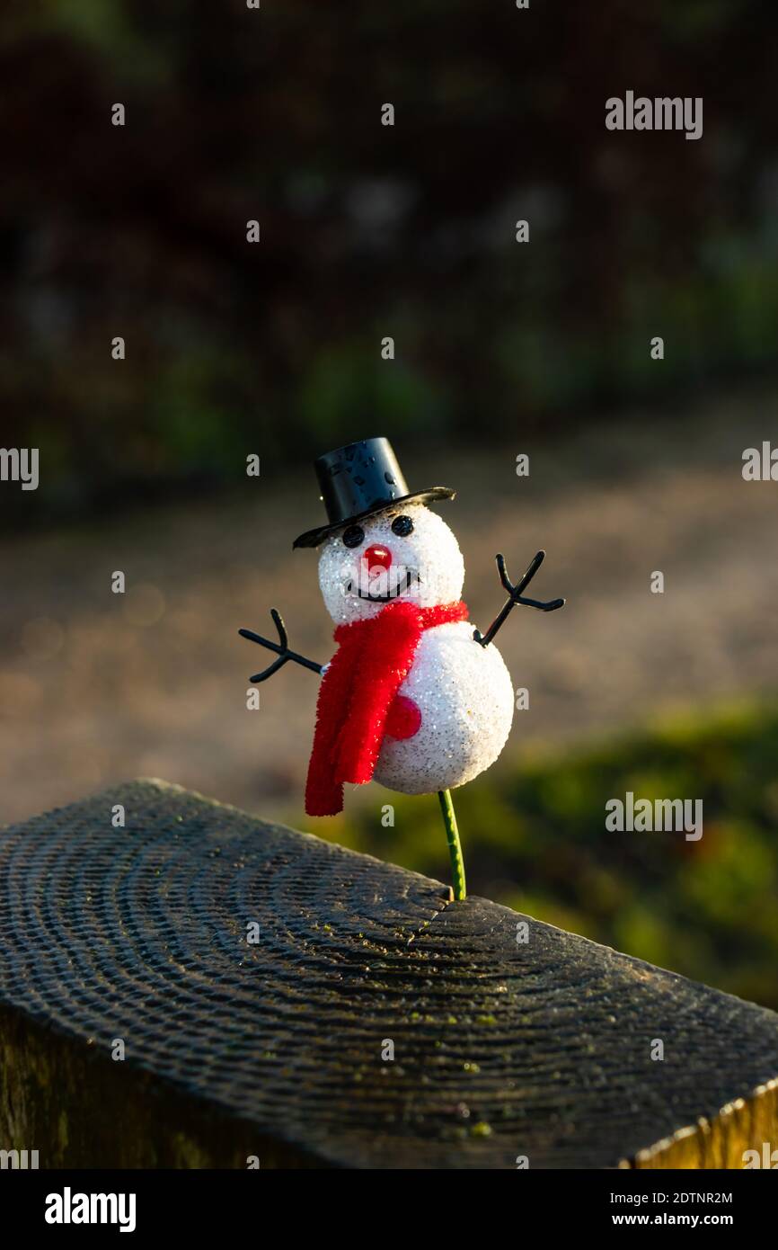 Primo piano di un piccolo modello di pupazzo di neve su una recinzione in Trentham Gardens, Stoke on Trent Foto Stock