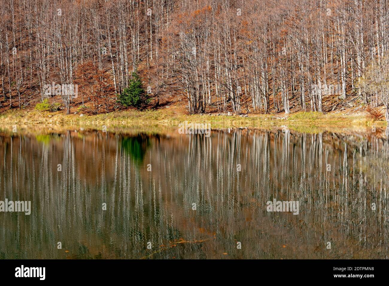 Belle riflessioni autunnali sulle acque del Lago Santo Modenese, Italia Foto Stock