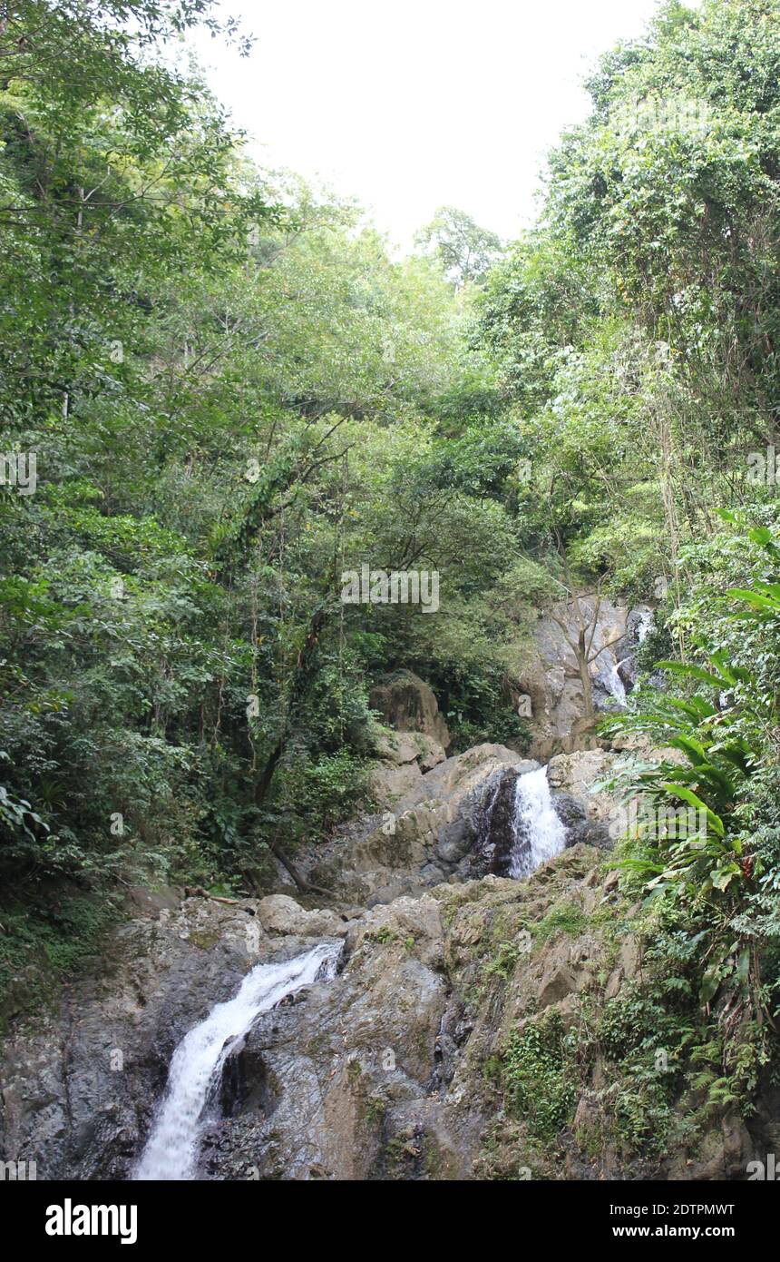 Un colpo delle cascate di Argyle nei Caraibi, Roxborough, Trinidad & Tobago Foto Stock