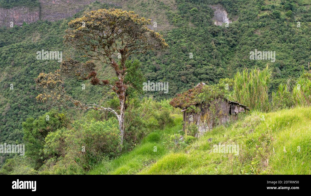 Rifugio abbandonato in pascoli di montagna sopra la valle del Rio Verde Chico vicino Banos sulle pendici amazzoniche delle Ande in Ecuador. Foto Stock