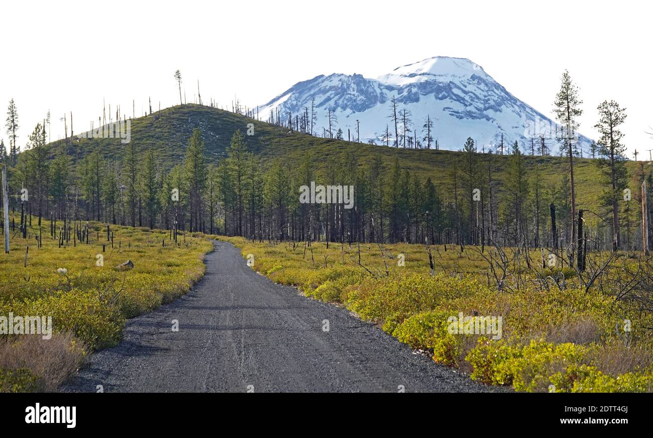 Una stretta strada sterrata che attraversa un vecchio incendio della foresta brucia con South Sisters Peak sullo sfondo, nelle Oregon Cascade Mountains vicino alla città di Foto Stock