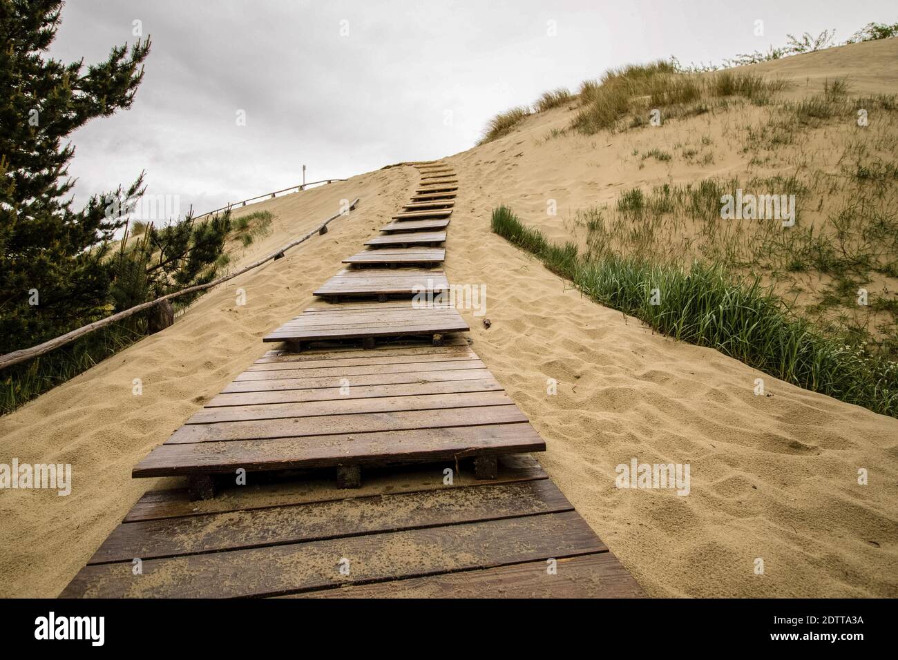 Percorso in legno per dune di sabbia di Nida, Lituania Foto Stock