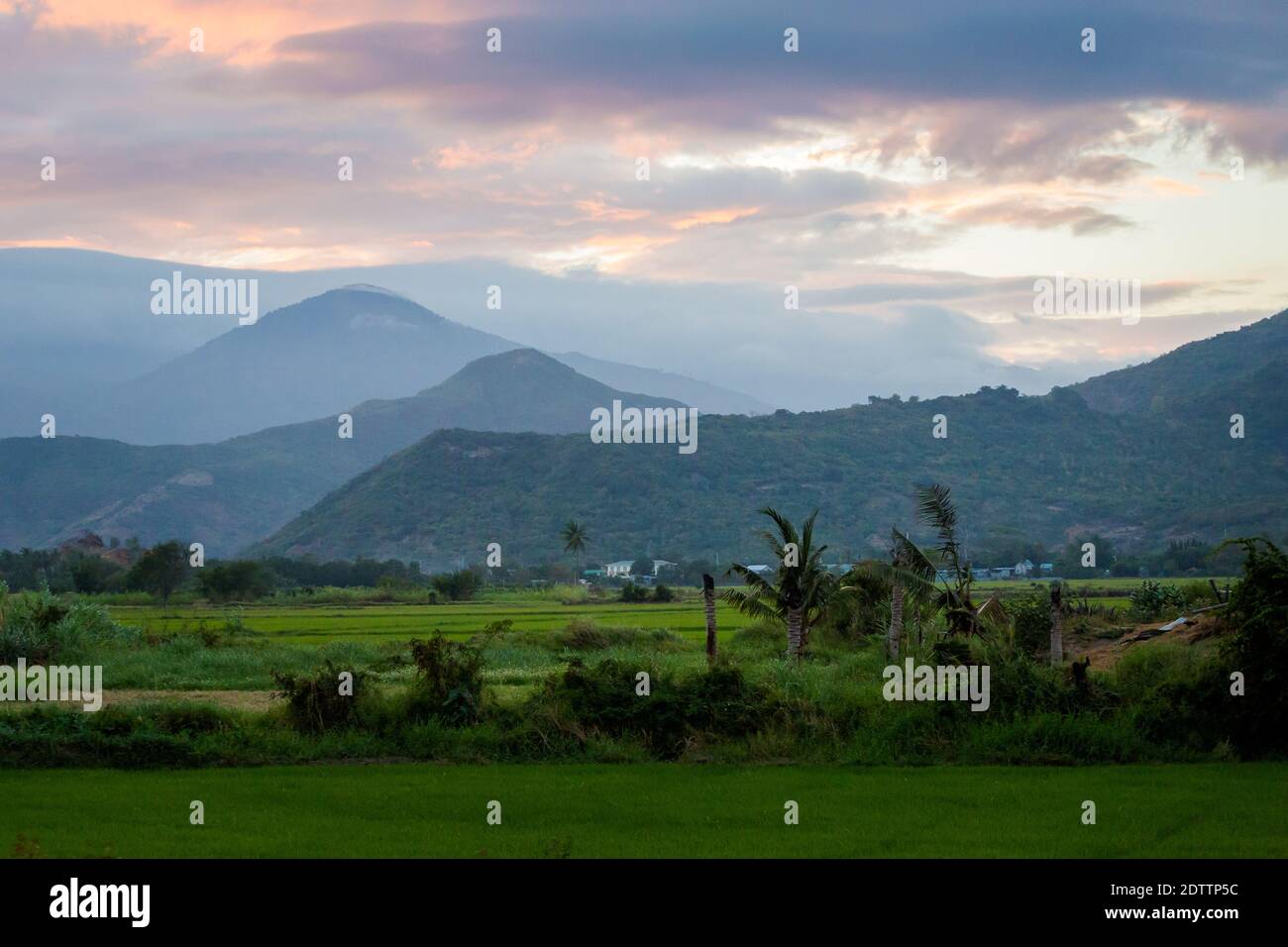 Bella foto serale dei campi di Cam Ranh durante il tramonto con le montagne sullo sfondo, Vietnam. Provincia di Khanh Hoa. Foto Stock