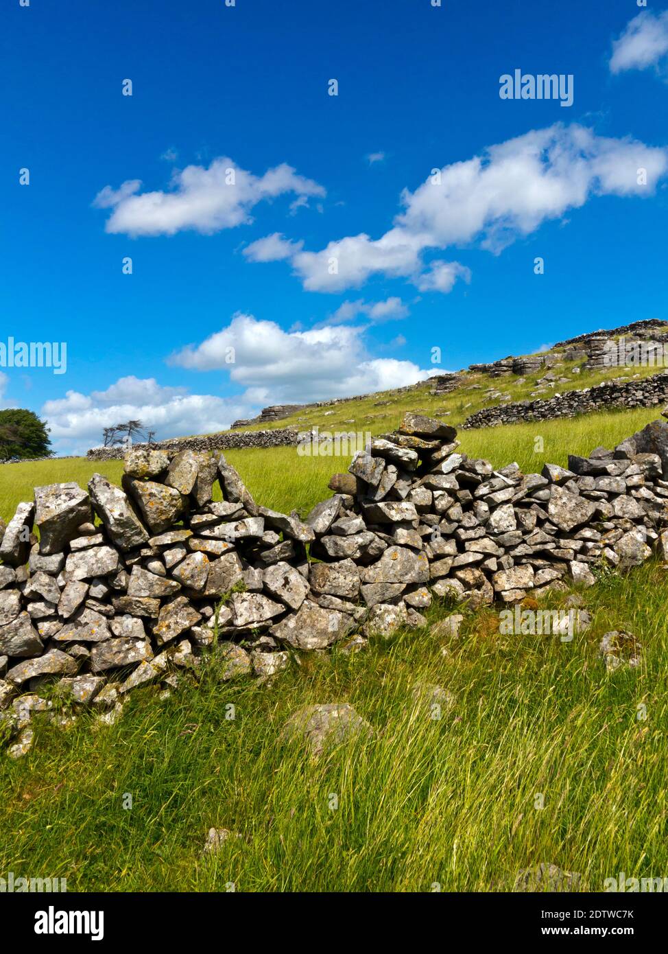 Pareti a secco e formazioni rocciose nei pressi di Minninglow e Parwich in The Peak District National Park Derbyshire Dales Inghilterra Regno Unito Foto Stock