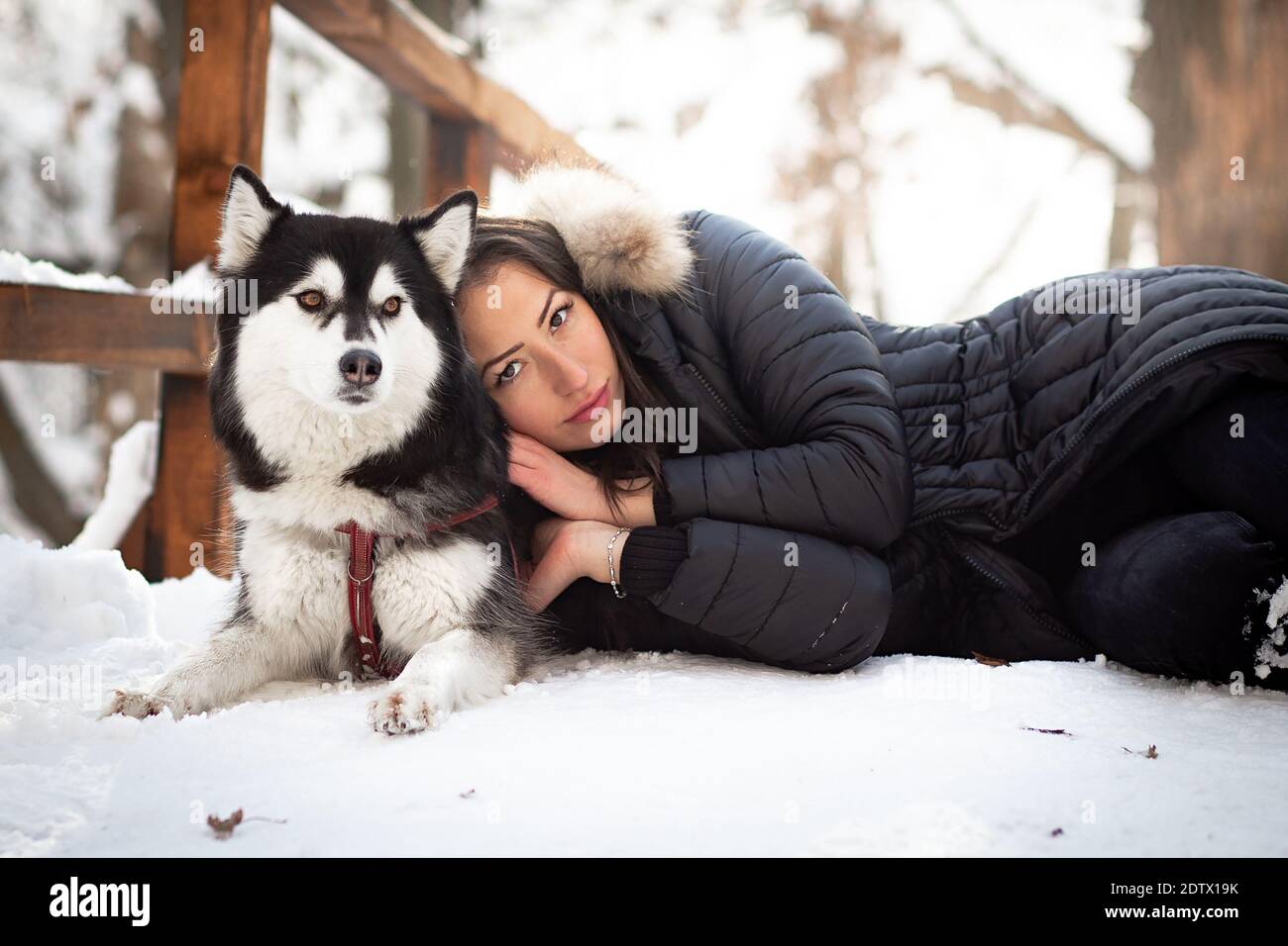 Bella giovane donna abbracciando femmina Husky cane in inverno freddo giornata innevata Foto Stock