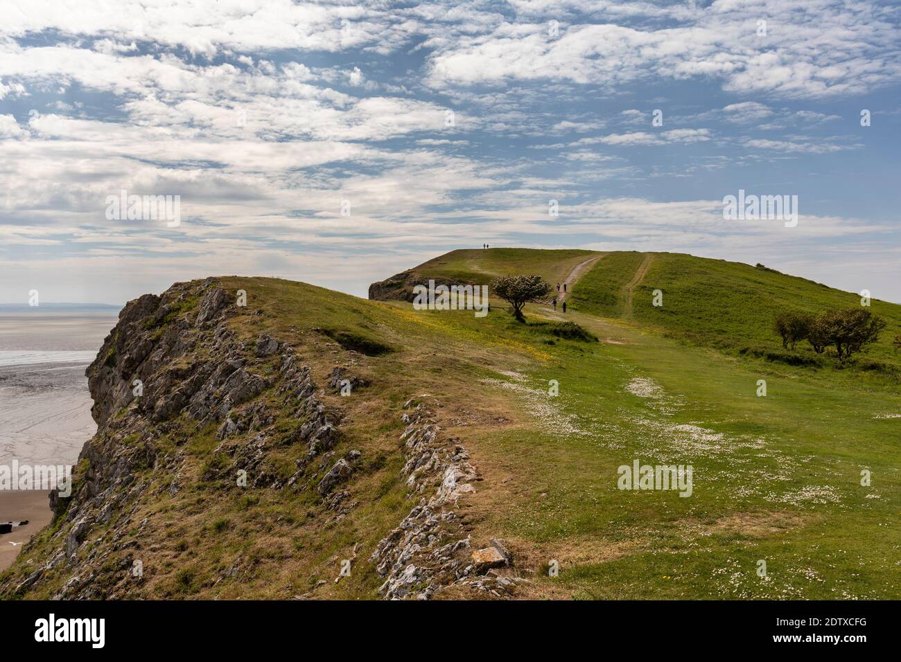 Walking Brean lungo il percorso costiero, Somerset costa, Inghilterra, Regno Unito Foto Stock