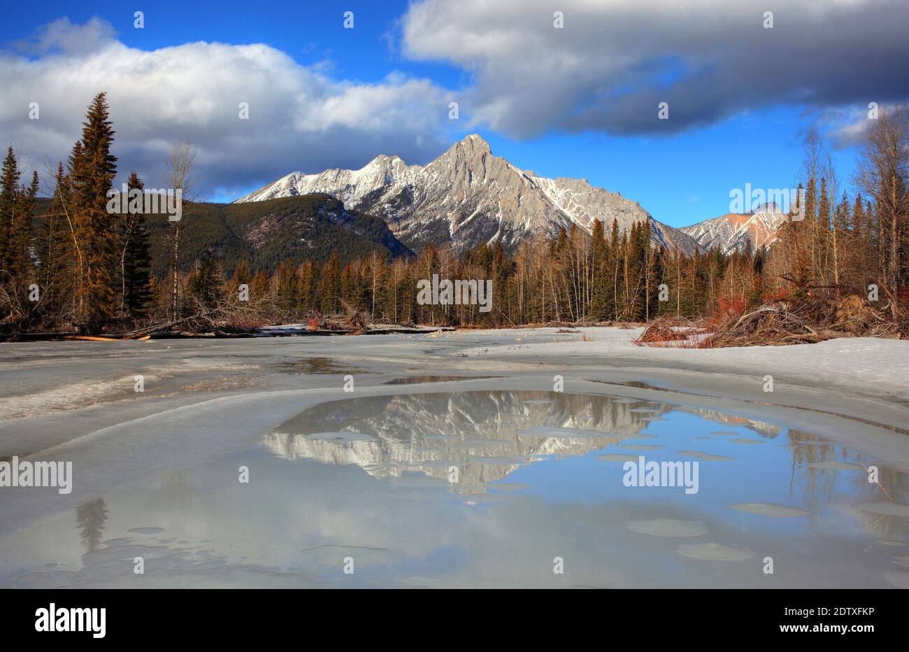 Fiume panoramico Kananaskis Foto Stock