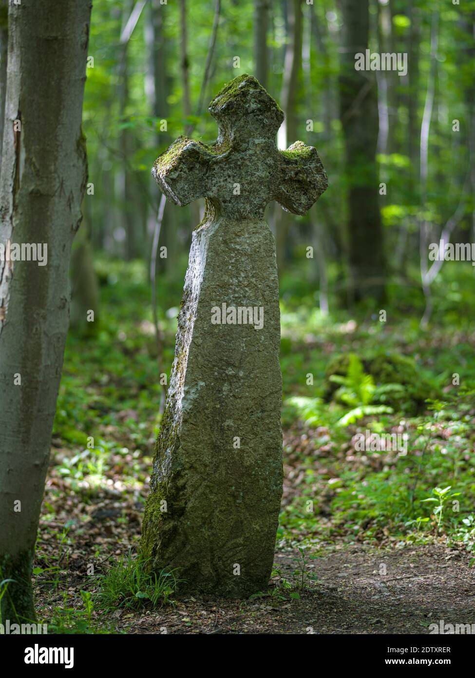 Ihlefelder Kreuz (Ihlefelder Cross) risalente al Medioevo. Il bosco Hainich in Turingia, Parco Nazionale e parte del mondo UNESCO h Foto Stock