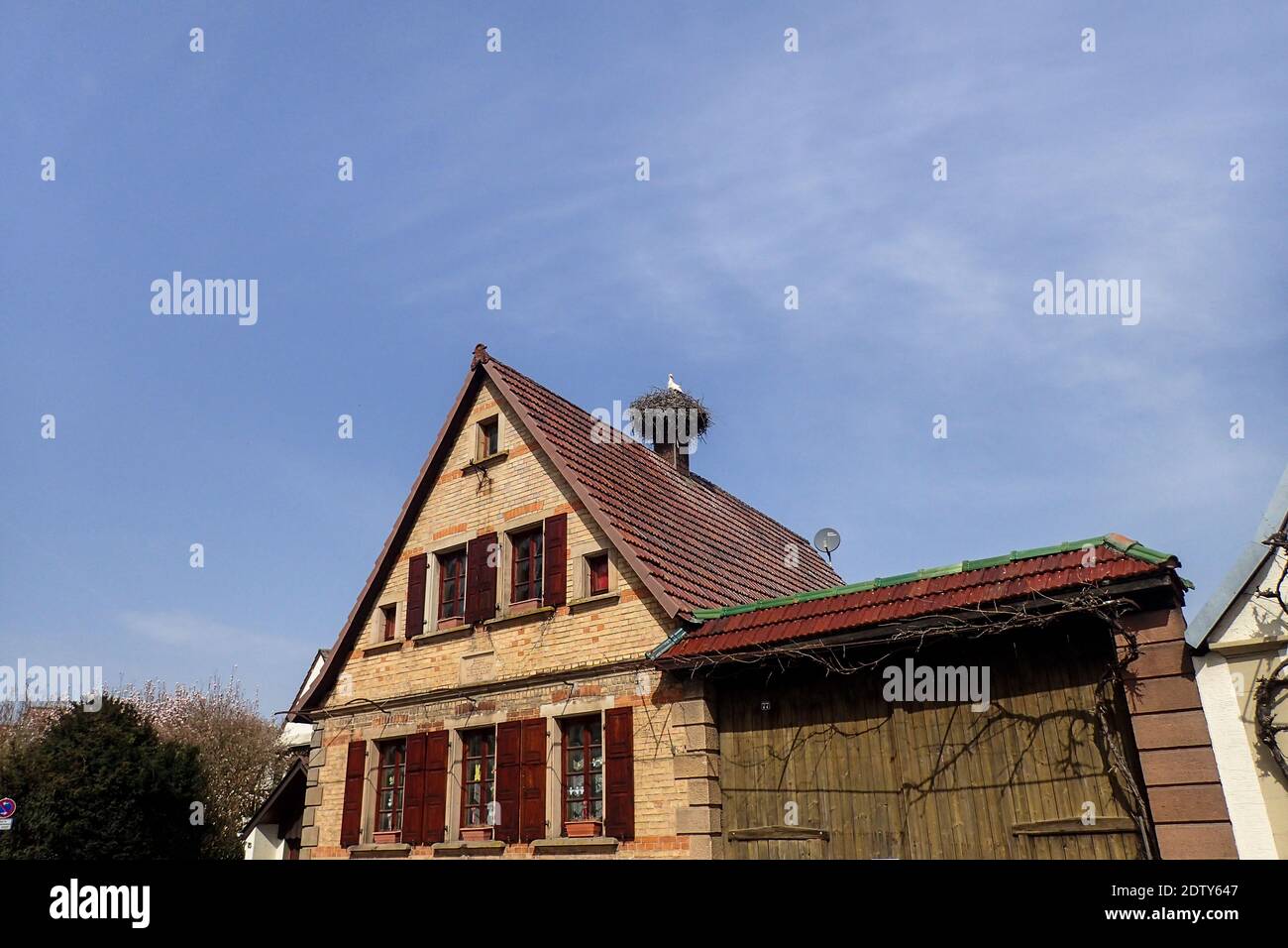 Alsazia, Francia: Cicogna nel nido in su nel camino Foto Stock
