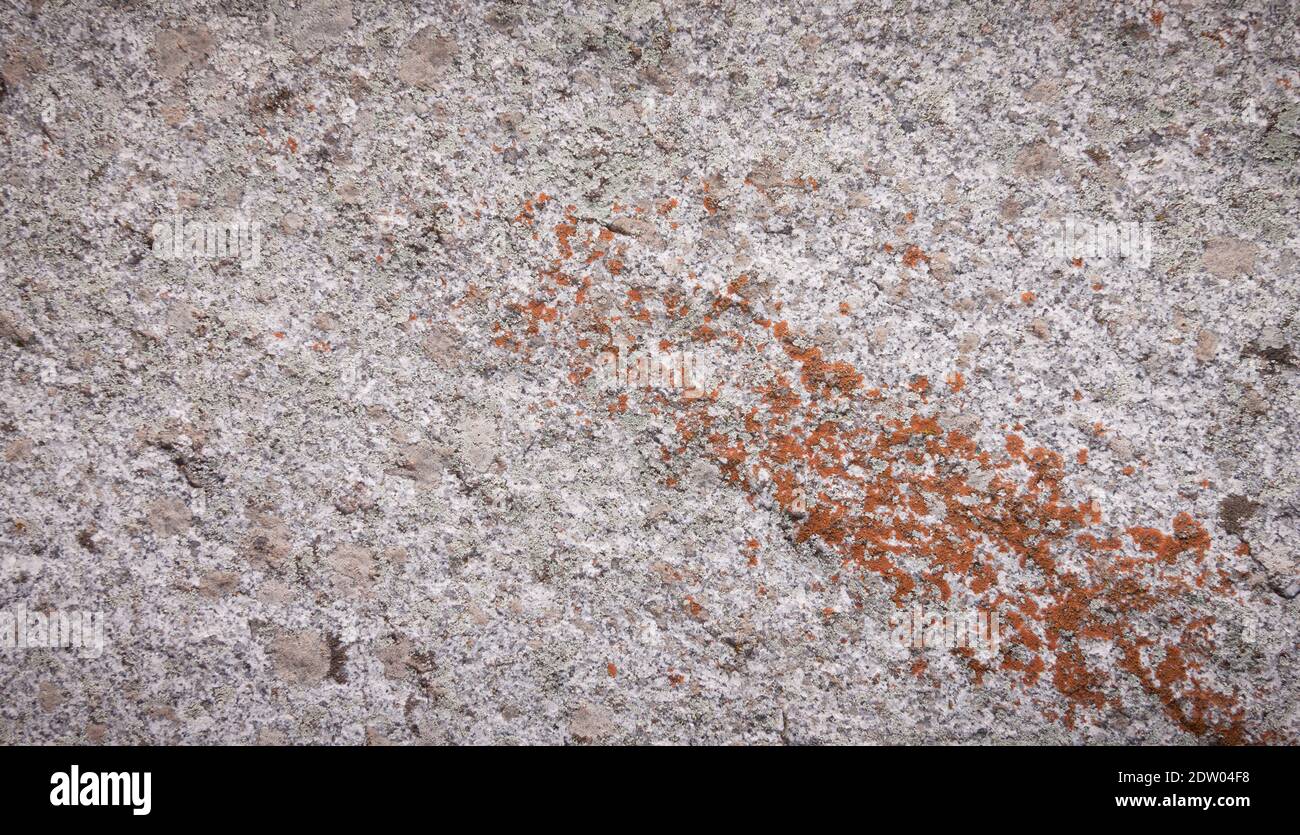 Fondo di pietra con muschio e licheni. Texture rock naturale con dettagli, macro fotografia risorsa grafica Foto Stock