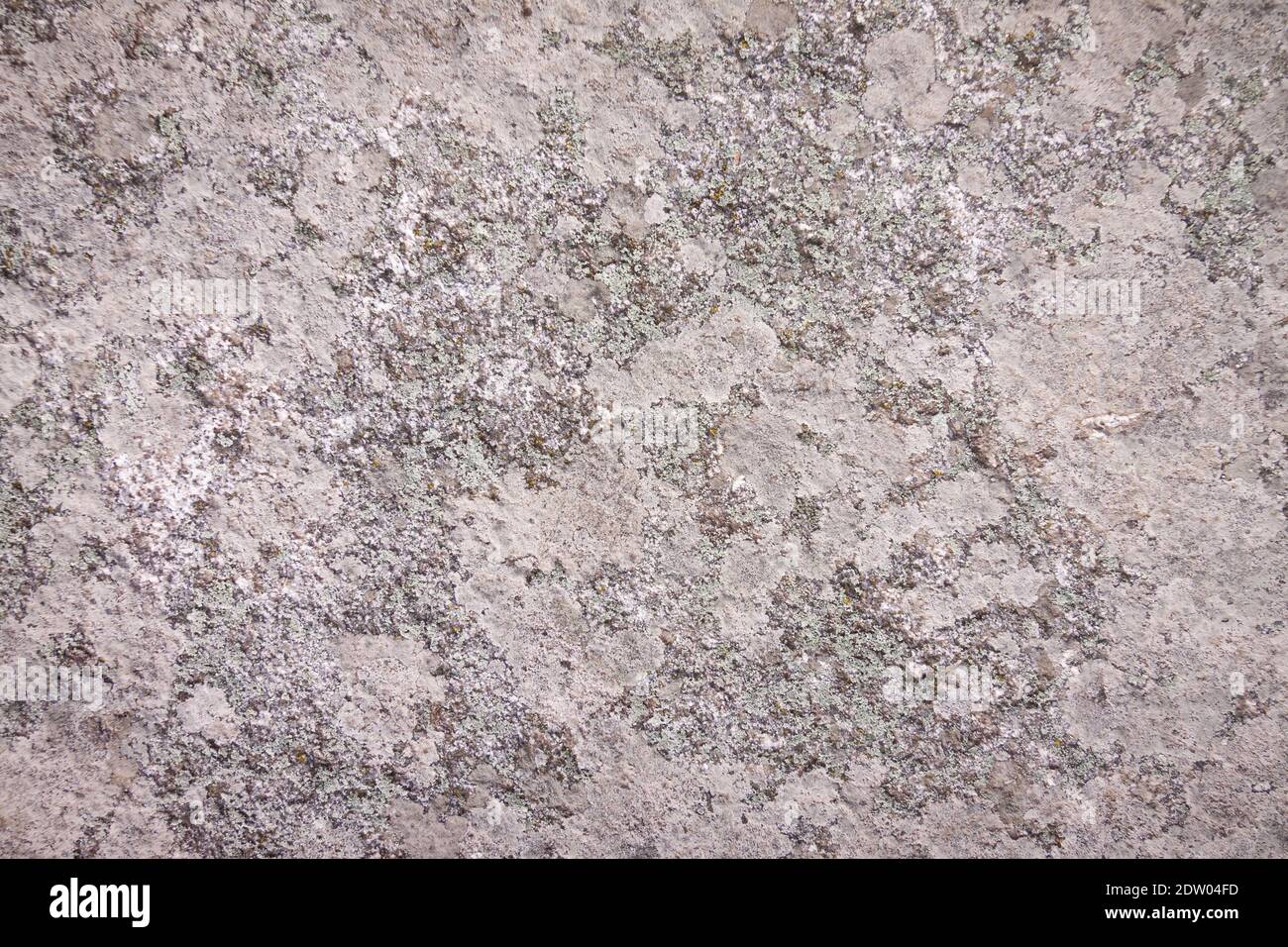 Fondo di pietra con muschio e licheni. Texture rock naturale con dettagli, macro fotografia risorsa grafica Foto Stock