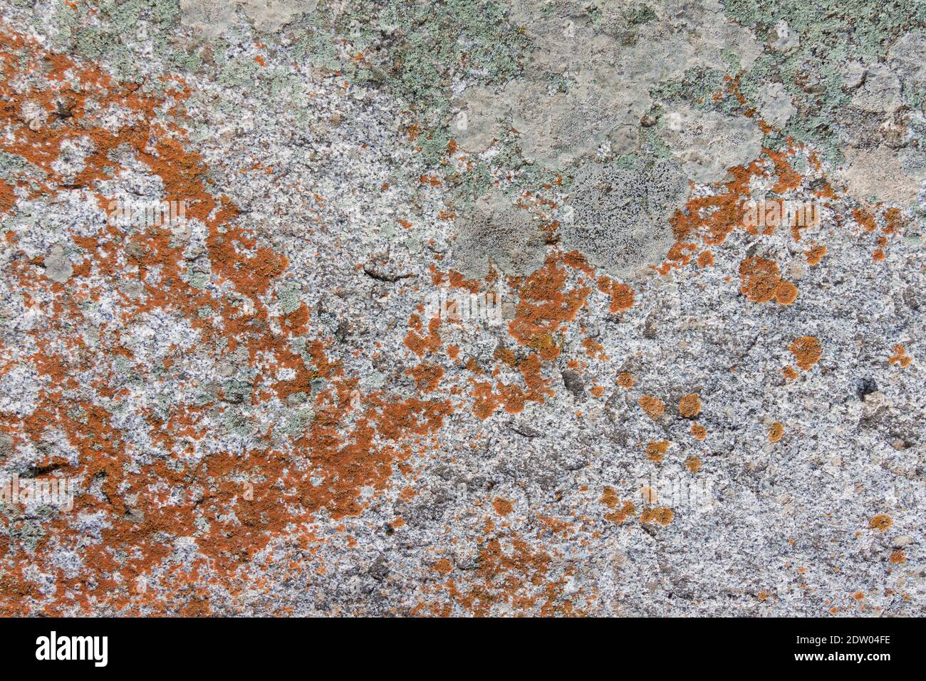 Fondo di pietra con muschio e licheni. Texture rock naturale con dettagli, macro fotografia risorsa grafica Foto Stock