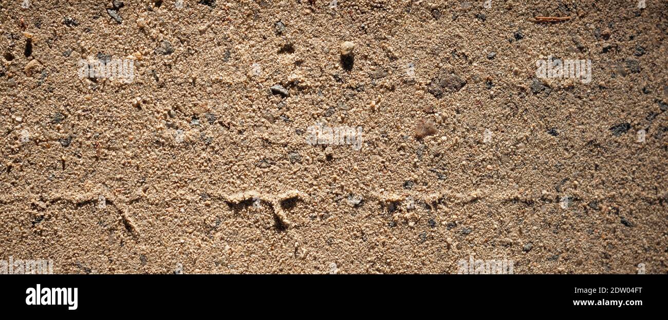 Fotografia di tessitura della sabbia. Strada sterrata, risorse grafiche e carta da parati. Primo piano immagine su terreno naturale Foto Stock
