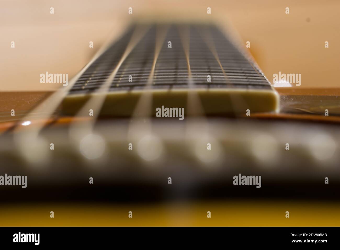Dettaglio di sei corde di chitarra lungo la tastiera Foto Stock