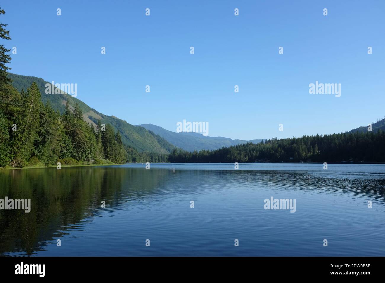 Tranquillo lago di montagna circondato da alberi di pino Stato di Washington. Foto Stock