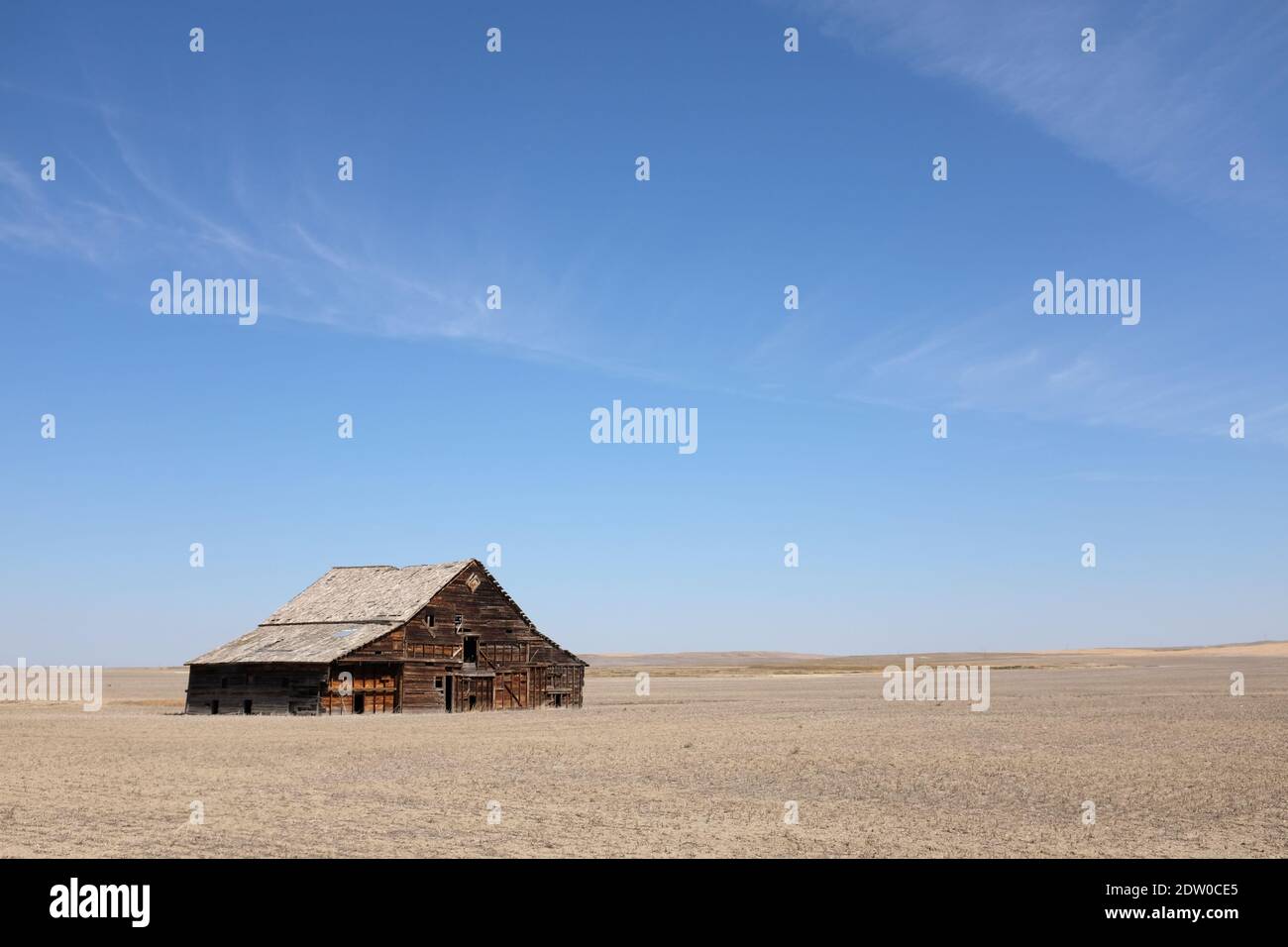 Abbandona fienile intemperie circondato da un campo in Montana Foto Stock