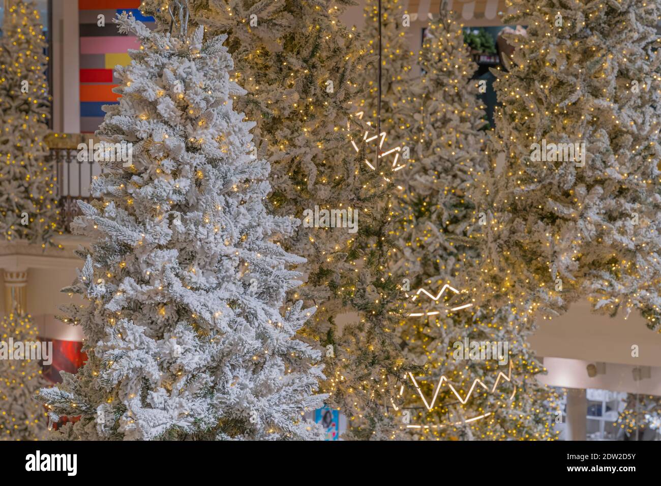 Parigi, Francia - 12 21 2020: Il negozio Bon Marché e dettagli albero di Natale Foto Stock