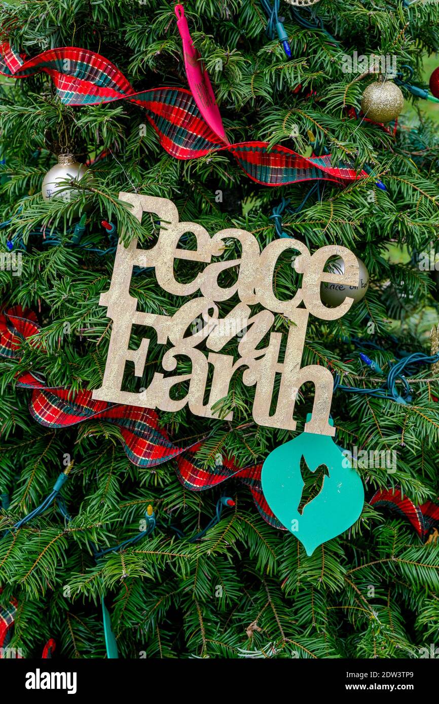 Pace sulla Terra, decorazione dell'albero di Natale, Dundarave Festival of Lights, Forest of Miracles, Dundarave, West Vancouver, British Columbia, Canada Foto Stock