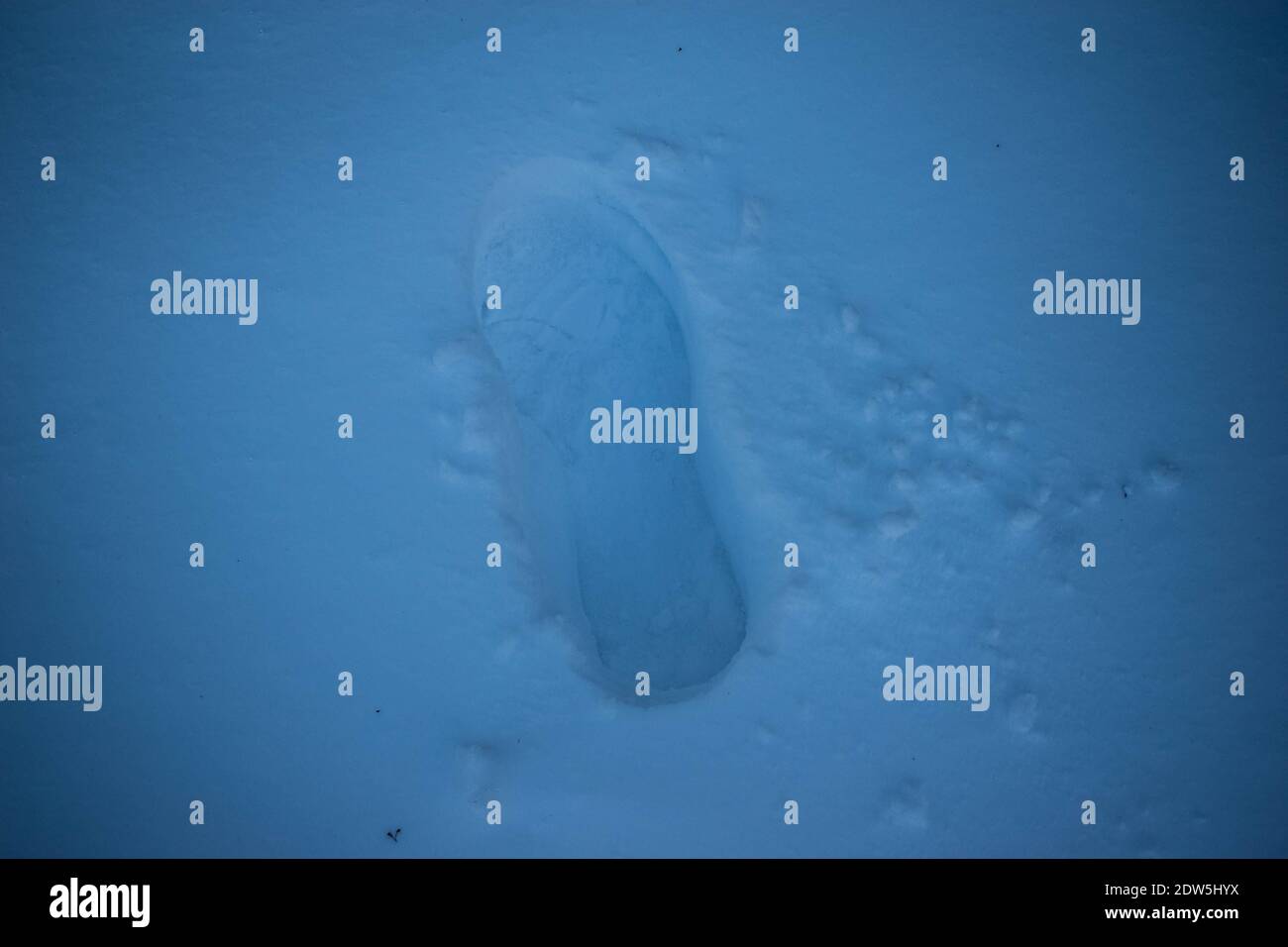 Un Footprint durante la NJ Blizzard del dicembre 2020 che Ha dato un piede di neve Foto Stock