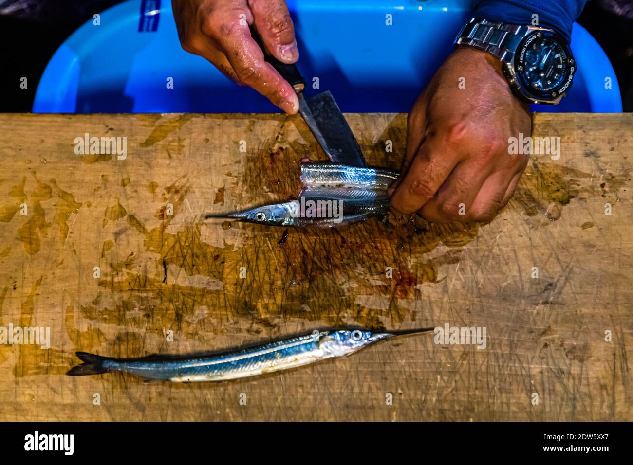 Pesca di punta sul lago Hanama, Hamamatsu, Giappone Foto Stock