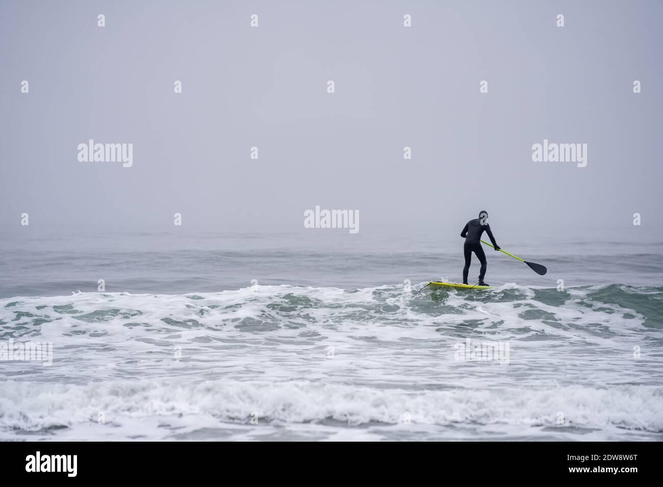Uomo paddleboaring in una muta secca acque fredde York Maine Foto Stock