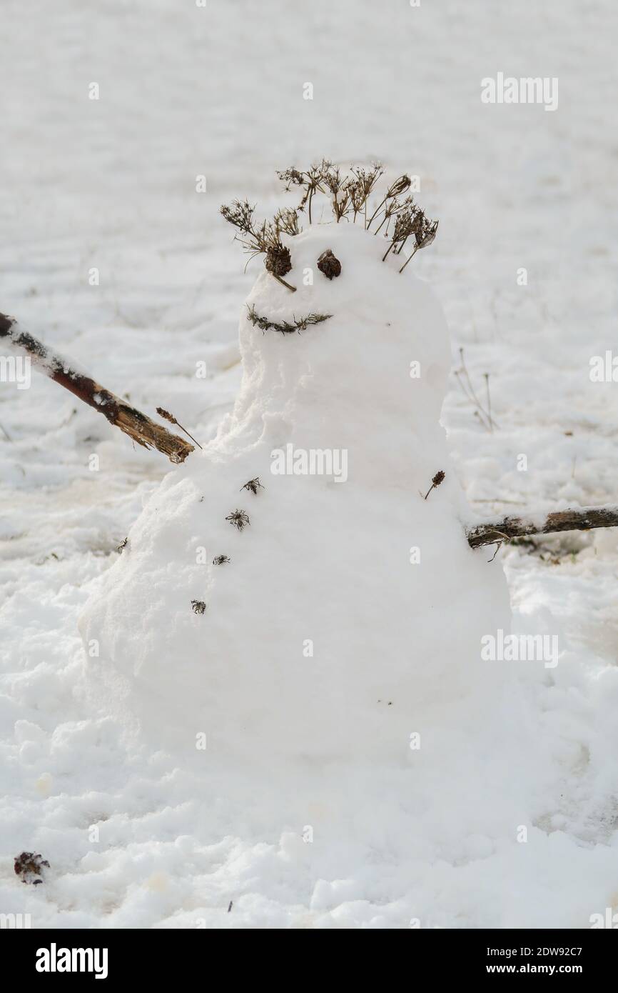 bel pupazzo di neve con bastoni di legno come braccia e una faccia sorridente fatta di rami asciutti ed erbe, verticale Foto Stock