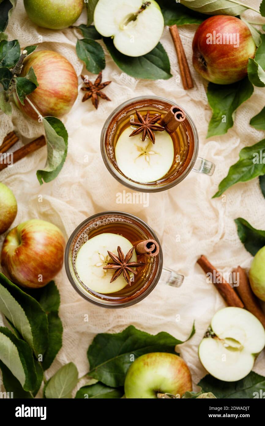 In casa Apple di aceto di sidro e mele fresche, laici piatta Foto Stock