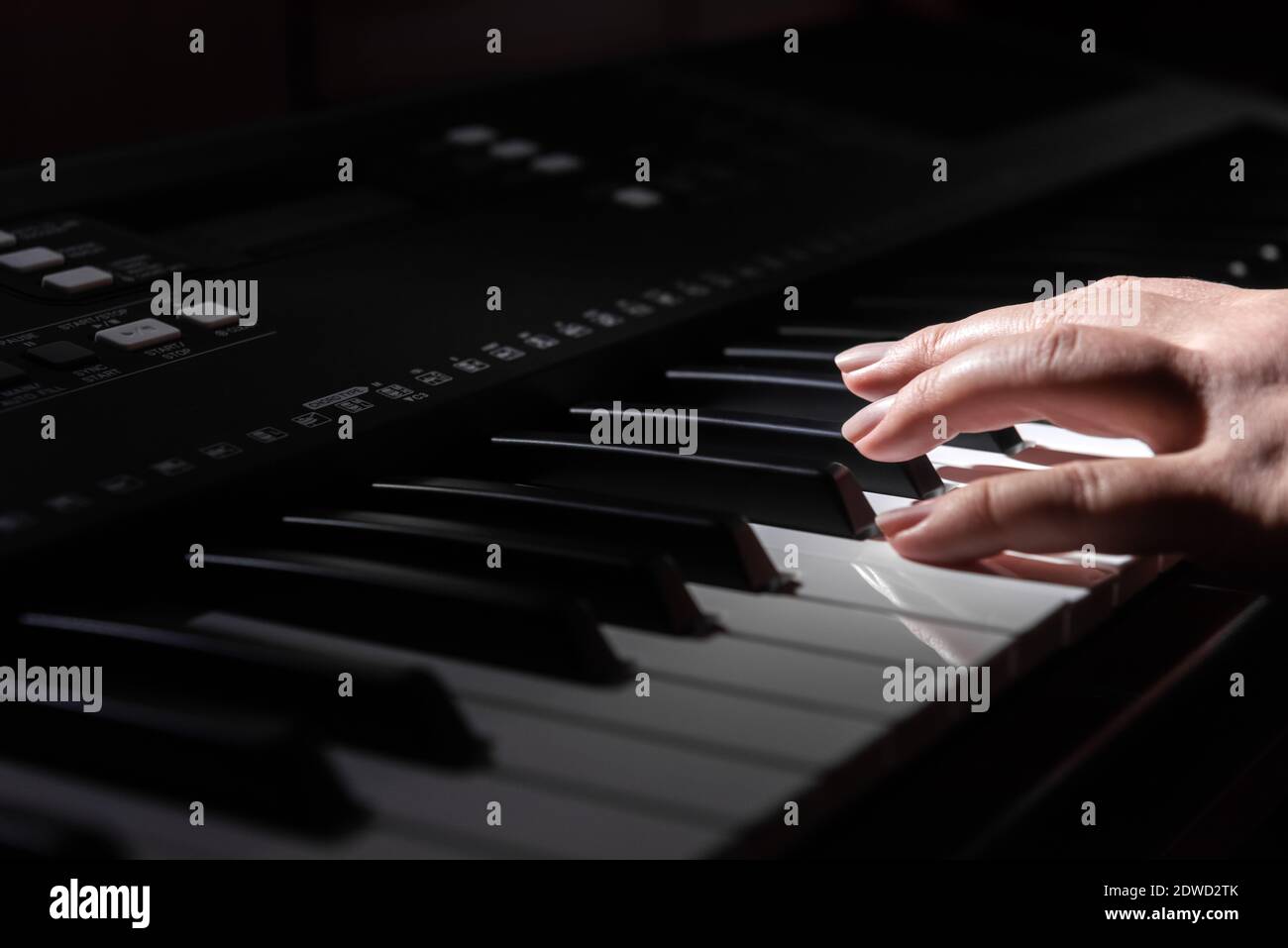 Musicista ad un concerto che suona il pianoforte Foto Stock