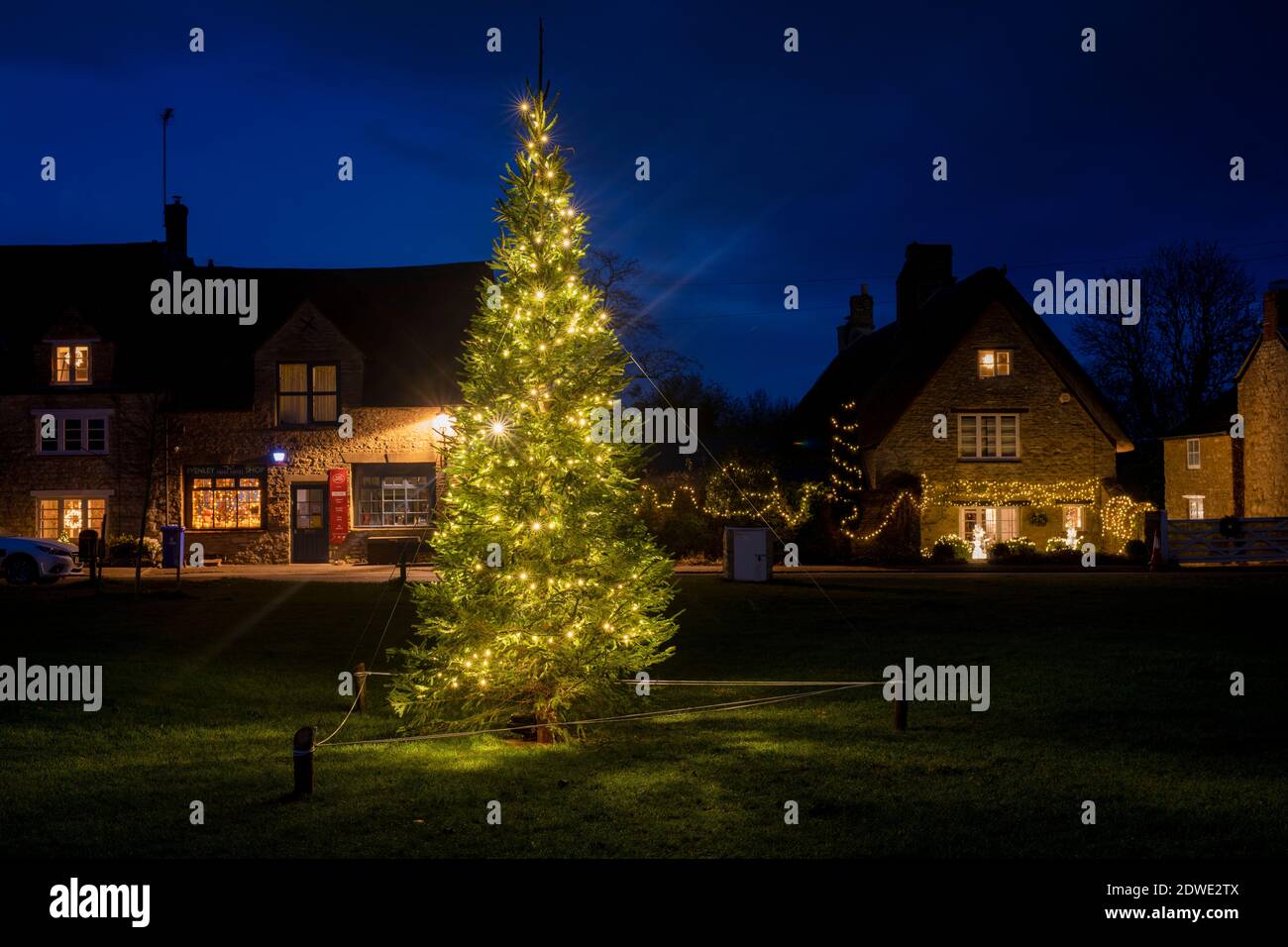 Albero di Natale sul verde villaggio di notte. Evenley, Northamptonshire, Inghilterra Foto Stock