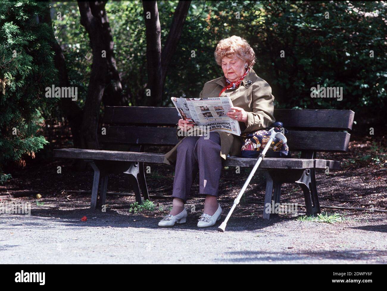 EINE SENIORIN beim Zeitungslesen auf einer Parkbank, Symbolfoto, circa 1998. SENIORIN, un pensionato che legge un giornale su una panchina del parco, foto simbolo, circa 1998. Foto Stock