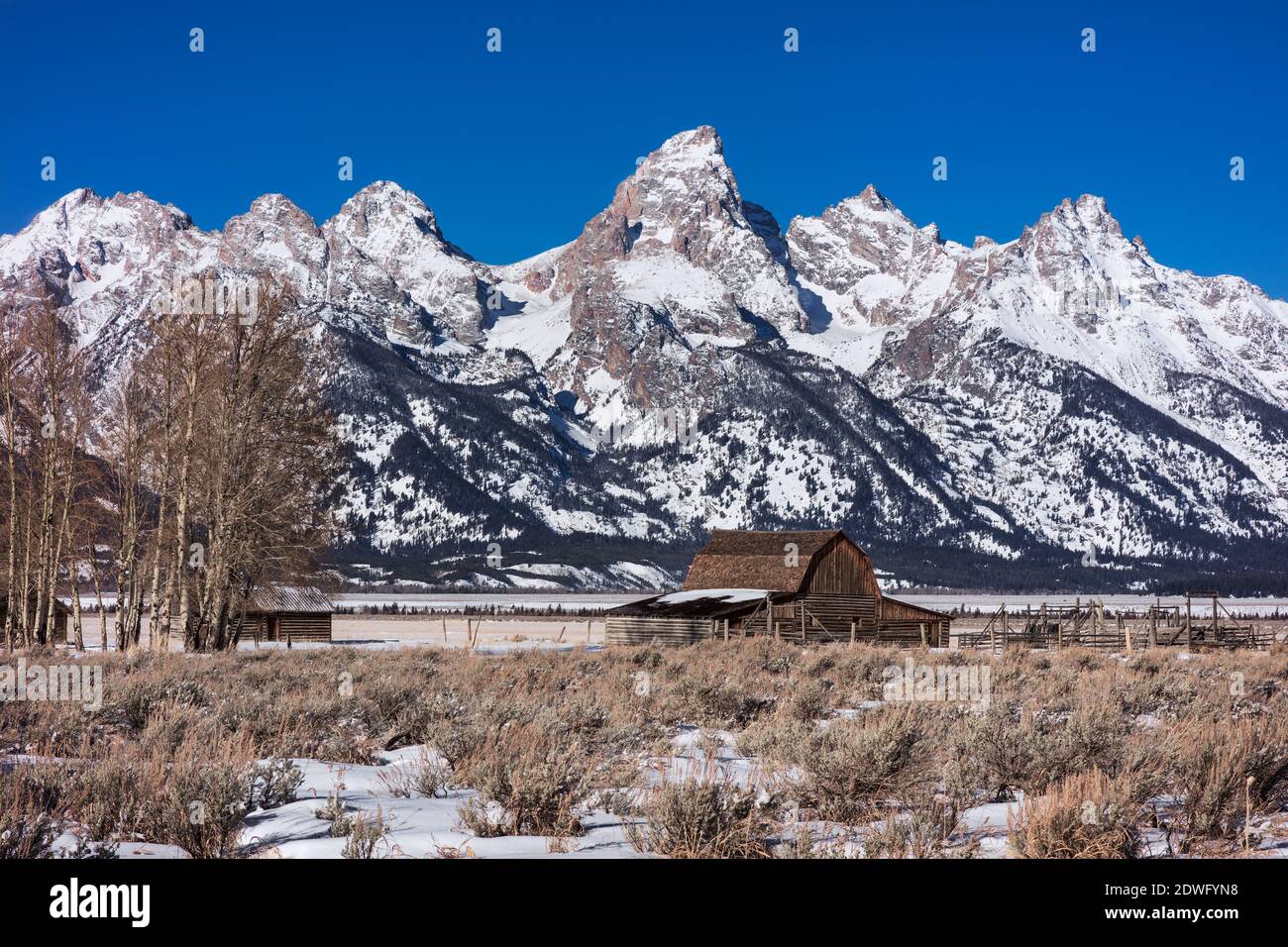 Le montagne di Teton e John Moulton Barn a Mormon Row nel Grand Teton National Park, Wyoming Foto Stock