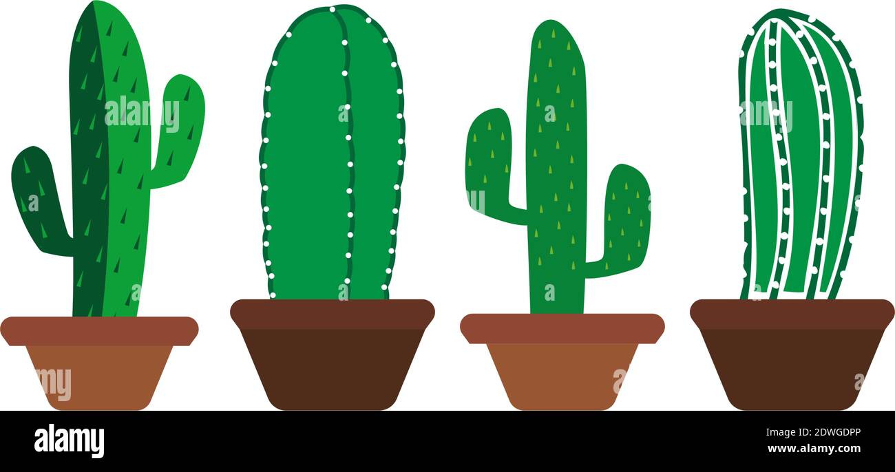 Immagine isolata vettoriale del modello di disegno icona Cactus Illustrazione Vettoriale