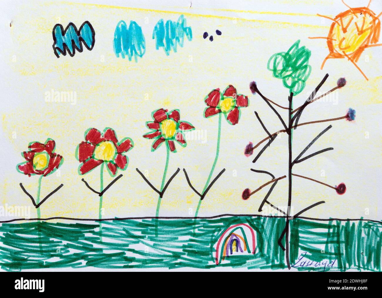 Disegno di bambino di sette anni, fiori rossi nel campo, concetto di primavera o estate. Foto Stock