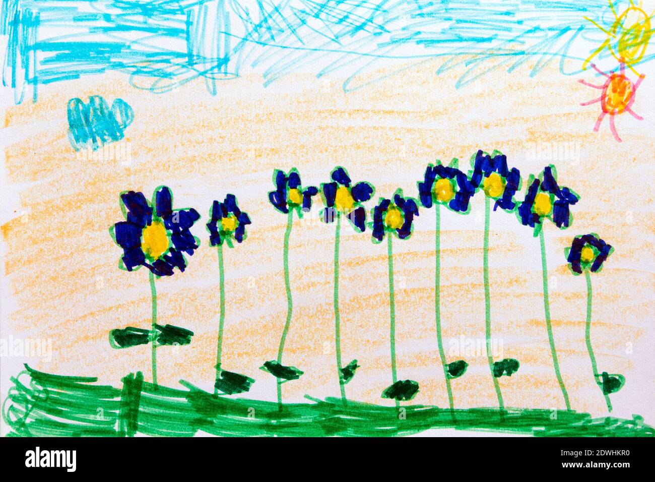 Disegno di bambino di sette anni, fiori blu nel campo. Foto Stock
