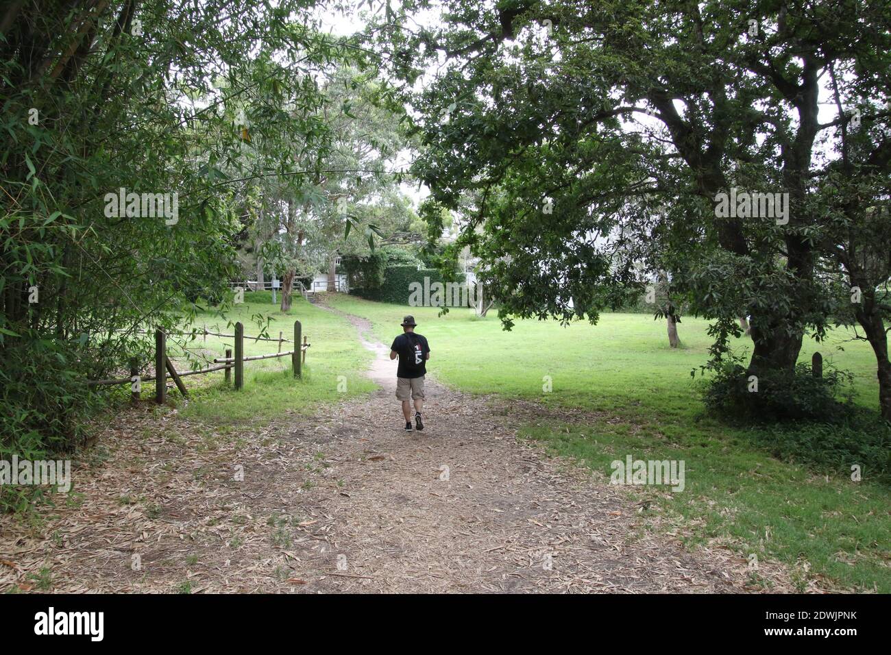 Beach Paddock, Vaucluse, Sydney, NSW, Australia Foto Stock